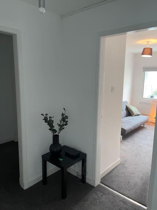 Modern 2 Bedroom City Apartment Glasgow Eksteriør bilde